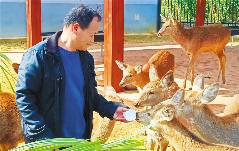发展产业调研】林下生金不朽情缘网站【高质量